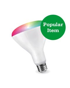 Floodlight BR30 Smart 60W Multicolor LED